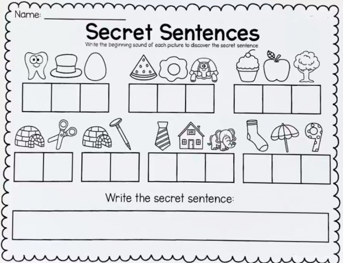 Secret Sentences CVC Worksheets