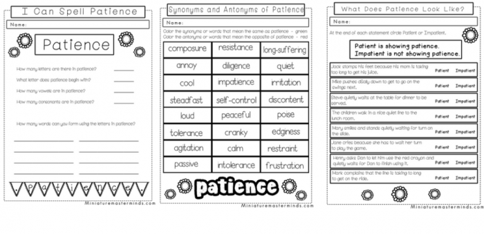 A Study In Patience No Prep Worksheet And Activity Pack
