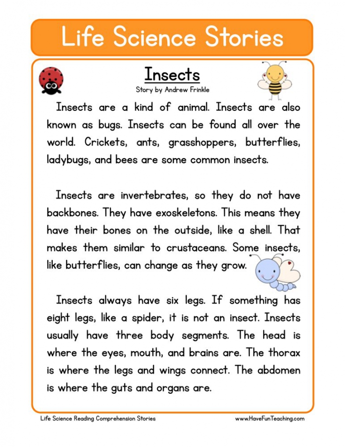 Insects Life Science Reading Comprehension Worksheet Have Fun