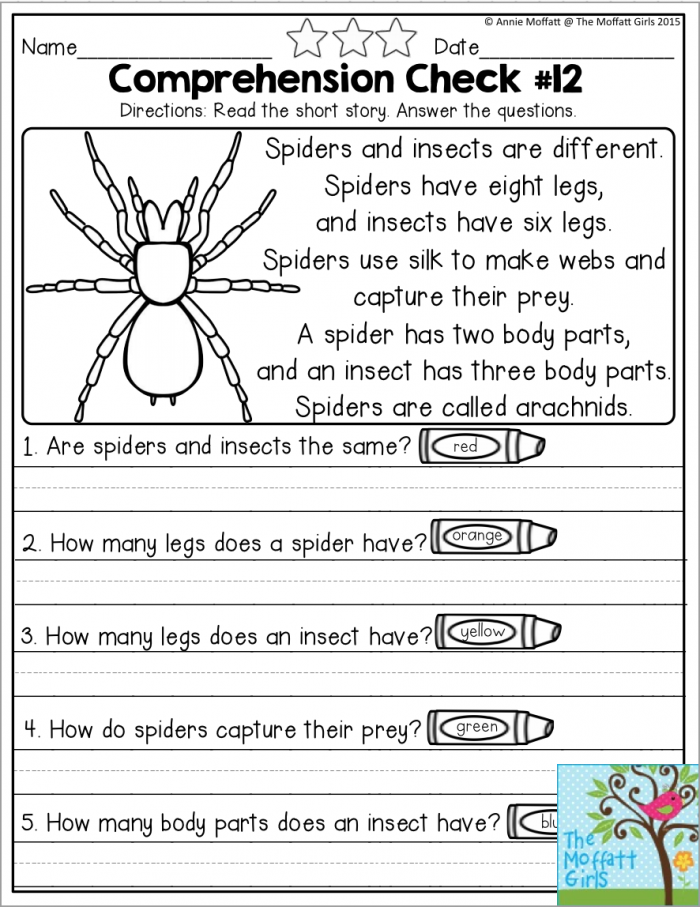 Spiders And Insects Reading Comprehension Check For October E